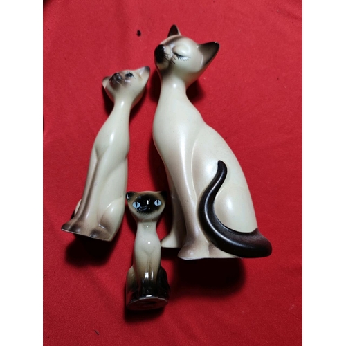 1117 - Cats! Wonderful collection of vintage feline figures Inc Sylvac and 2 unusual cat vases!! Se additio... 