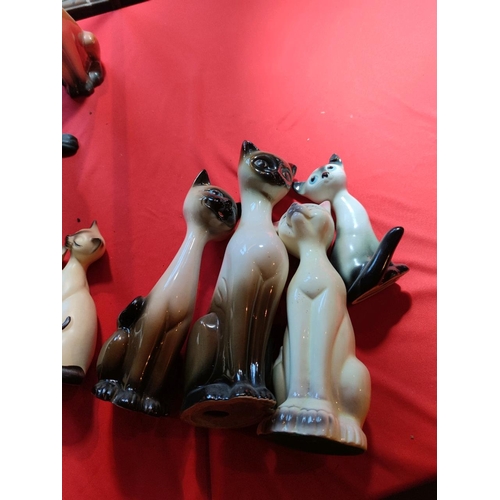 1117 - Cats! Wonderful collection of vintage feline figures Inc Sylvac and 2 unusual cat vases!! Se additio... 