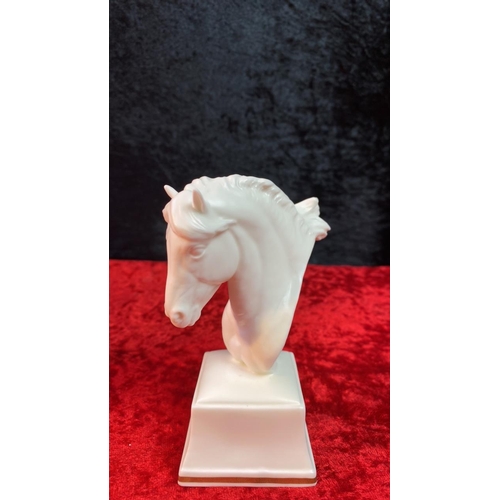 39 - Boxed Royal Worcester equine studies - horse head “Chronos” approx 11 cm high