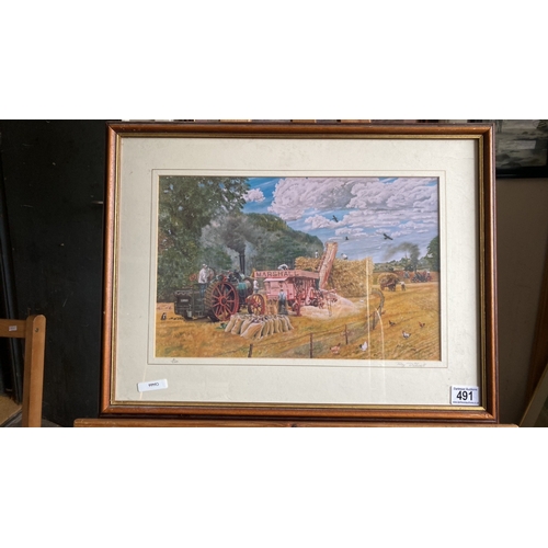 Lot 491       