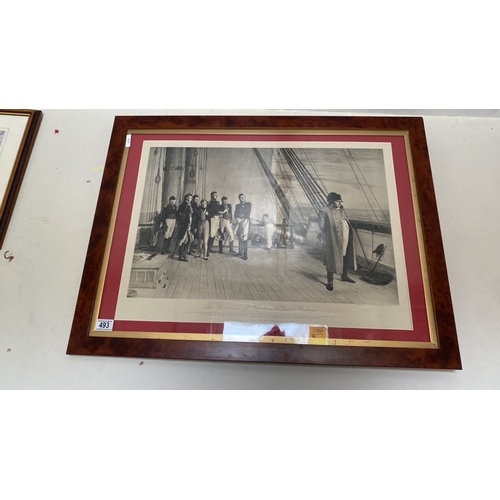 Lot 493       