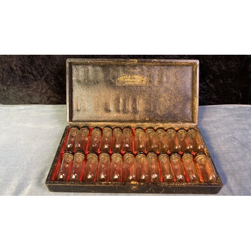 Lot 507       