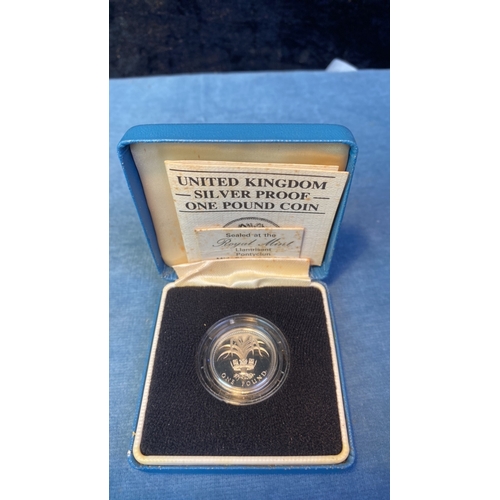617 - Royal Mint, Llantrisant, UK Silver Proof One Pound Coin