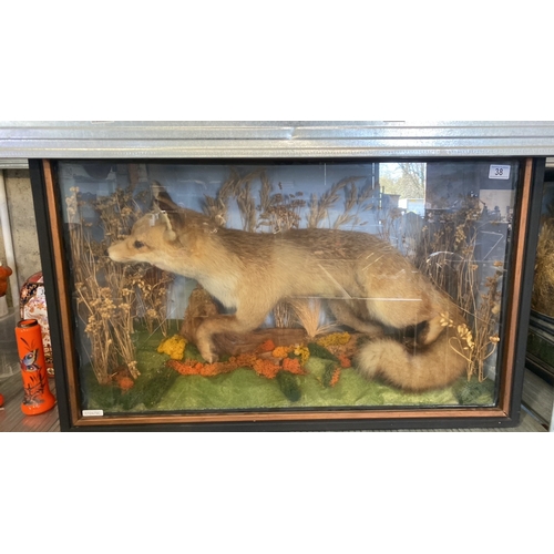 38 - Taxidermy fox in glass fronted wooden case depicted in an attractive diorama. Case approx 48cm x 94c... 