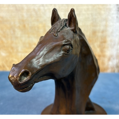 13 - Sporting Equine Horse Head Bust H16.5cm