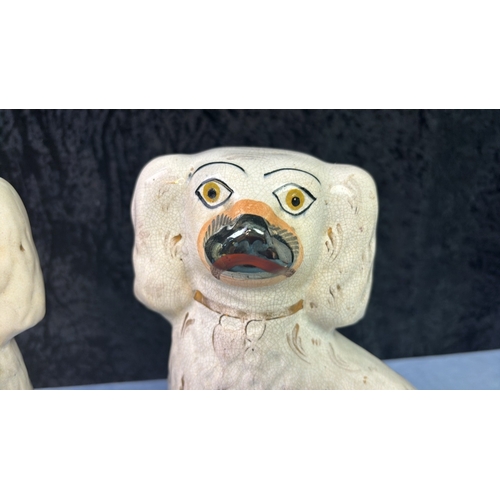 43 - A pair of Staffordshire Spaniels H25cm