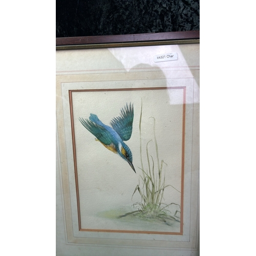 25 - Set of three beautiful framed watercolour paintings of Kingfishers, unsigned, frames approx 48cm x 3... 