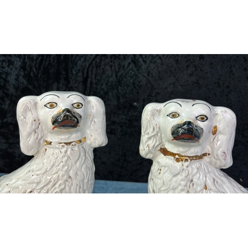 6 - Pair of Staffordshire mantle dogs, approx 22cm tall