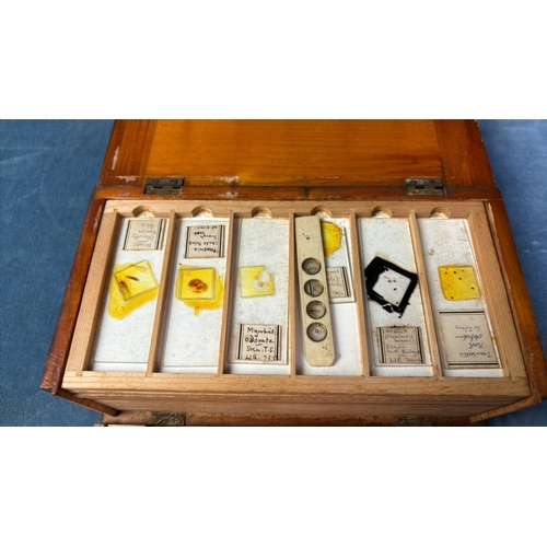 60 - Wooden box of vintage / antique microscope slides