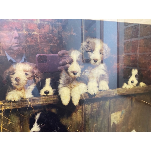 402 - Framed print of fluffy Border Collie puppies entitled ‘Muffin’s Pups’ by David Shepherd in gilt fram... 