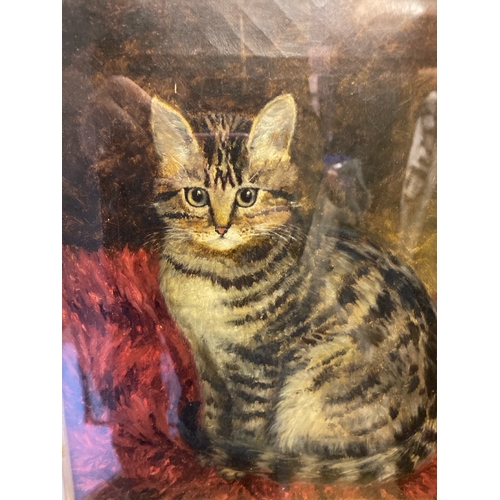 411 - Framed and glazed acrylic painting of a tabby cat in a gilt frame, no visible signature, frame appro... 