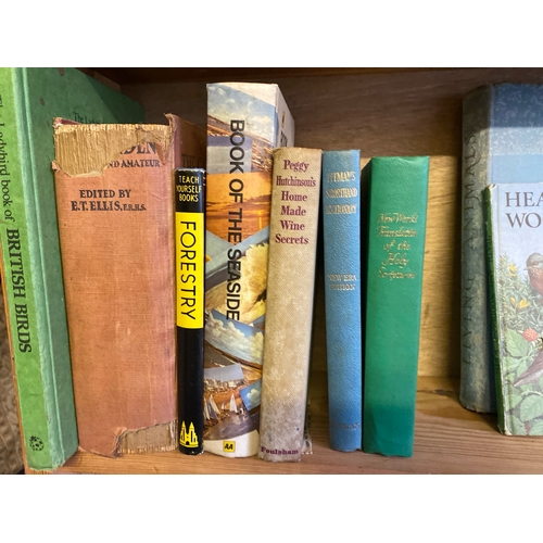 466 - Rare Ladybird book of British Birds with other mixed interest vintage books inc Ladybird wildlife, s... 