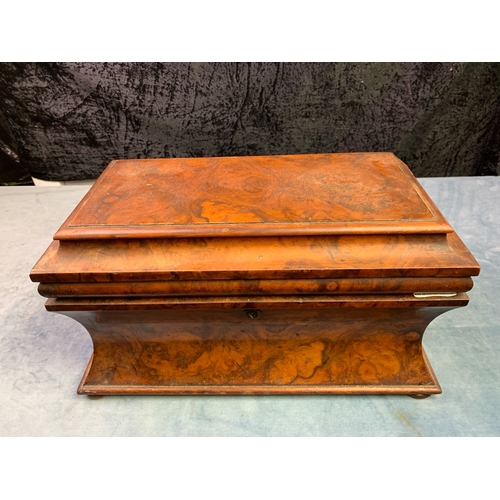 59 - Large antique walnut tea caddy, measures approx 20cm x 40cm x 21.5cm