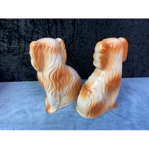 267 - A pair of Staffordshire style over mantle, comforters or for the Scots, Wally dogs. Pretty tan and c... 