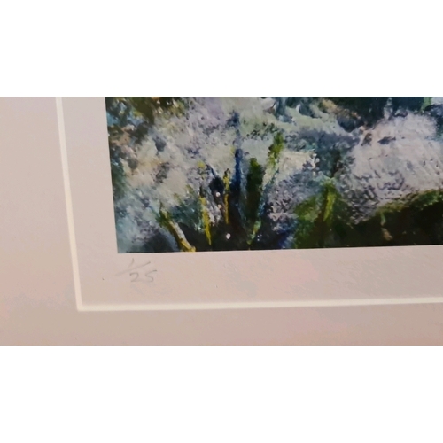 515 - Signed limited edition 1/25 print entitled ‘Hedgerow Haze’ by Sue Southorn, frame approx 44cm x 58cm