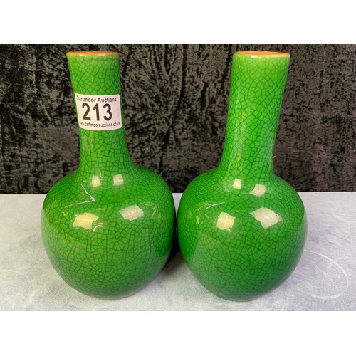 213 - A pair of  Chinese porcelain apple-green crackle glaze bottle vases  H22cm c18/1900 together with an... 