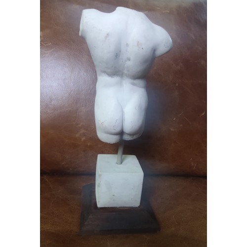 439 - Male stoneware torso on a stand, approx 32cm tall