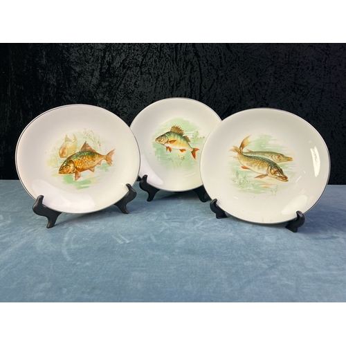 223 - Set of six Wedgwood fish plates, meat plate and gravy boat, ...