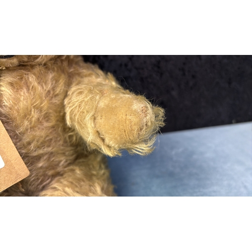 395 - Vintage mohair teddy bear, amber coloured eyes, stitched nose and shaved muzzle. Approx 35.5cm ear t... 