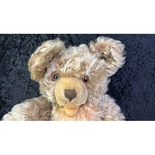 397 - Very happy looking vintage mid-century Hermann teddy bear, mohair fur, shaved muzzle, stitched nose,... 