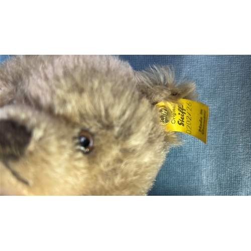 401d - Steiff caramel teddy bear c1970s. Ear tag ref 0202/26. Approx 24cm ear to paw