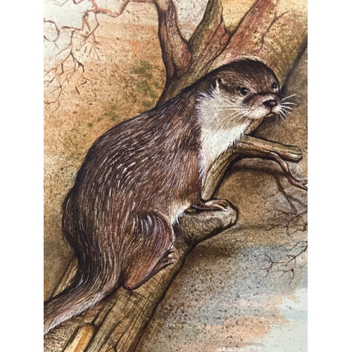 469 - Framed print entitled ‘The Otter’ by Russell Lee, frame approx 49cm x 41cm