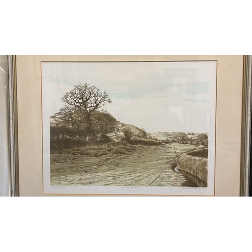 481b - Framed artist proof print entitled ‘Winter Shadows’ by Martin Broadbent, frame approx 51cm x 61cm