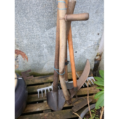 1013 - Selection of long handled garden tools incl a Devon shovel, mattock, 2 handed scythe, gravel/grading... 