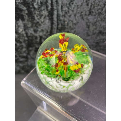 343 - A collection of surreal hand blown glass paperweights