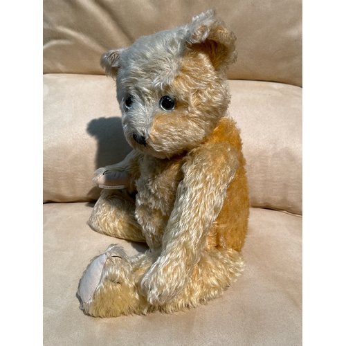 376 - Super cuddly golden furred teddy bear with humped back and stitched nose, no makers mark, 47cm ear t... 