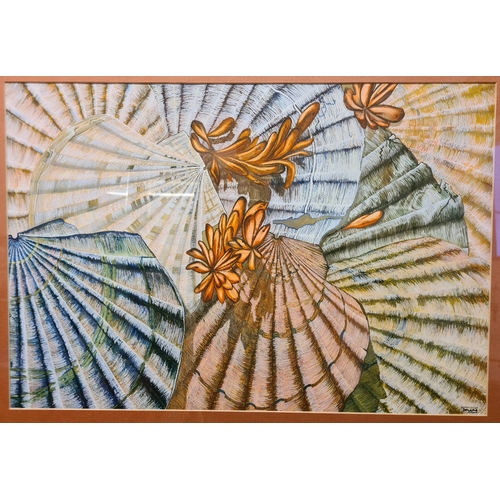 479 - Framed watercolour of Scallop shells by Dawn Muddiman. Measuring approx 62cm high and 77cm wide.