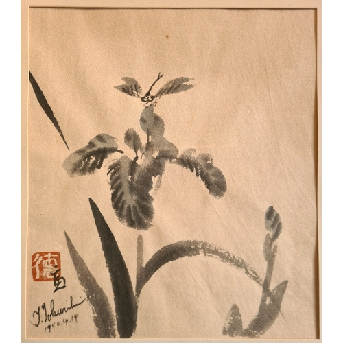 551 - Framed Japanese ink wash painting of a dragonfly on a flower by Tomikichirō Tokuriki. Measuring appr... 