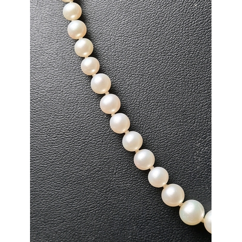 682 - Beautiful Guernsey Pearl necklace in presentation box, with 18KGP mark to clasp