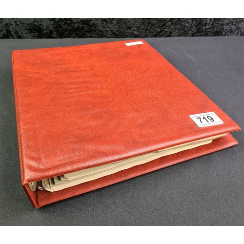 719 - Folder containing a collection of  British and foreign coins (all shown in photographs)