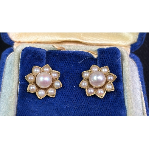 794 - Pretty pair of yellow metal earrings, each with one large and eight small pearls.