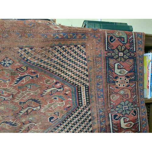 920b - Three very  old rugs, all a/f and in various states of threadbareyness, approx 158cm x 120cm, 135cm ... 