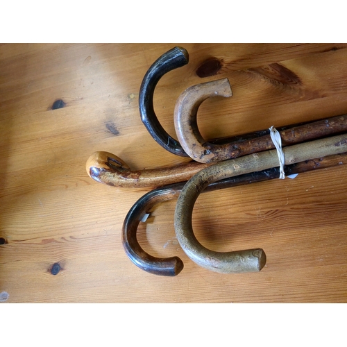 925 - 5 vintage walking canes including a lovely Irish Shillelagh!