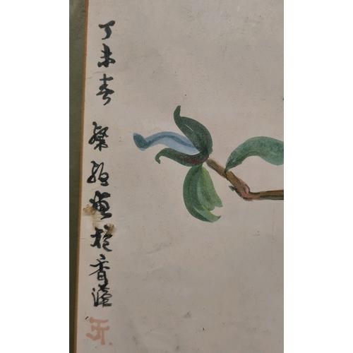 524 - Framed floral watercolour, signed ‘JT’. Frame measures 53cm x 46.5cm