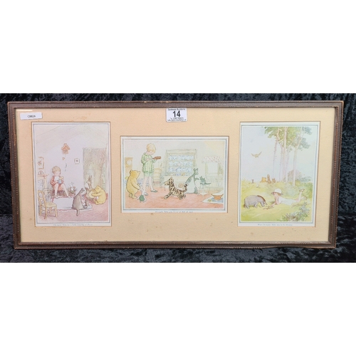 Lot 14        
