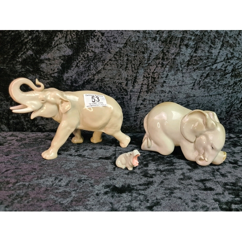 Lot 53        