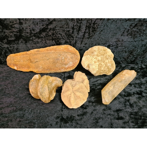 Lot 58        