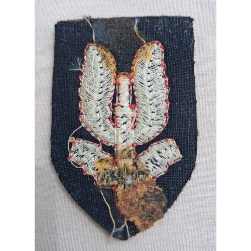 11 - SAS who dares wins cloth badge