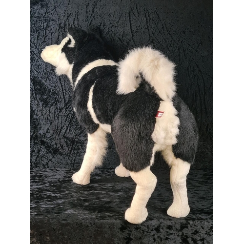 107 - Almost life-size standing husky dog stuffed toy, made by DPL Leeds Ltd. Approx H55cm.