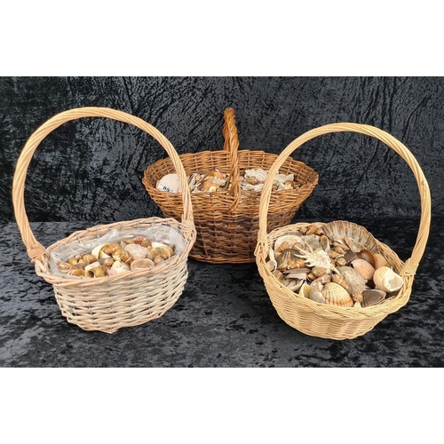 89 - Three decorative baskets full of different type and size shells.