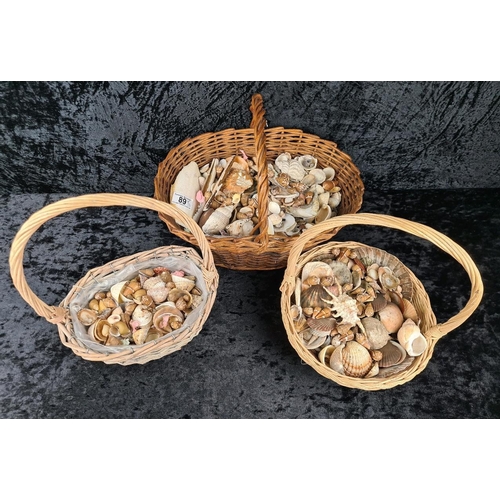 89 - Three decorative baskets full of different type and size shells.