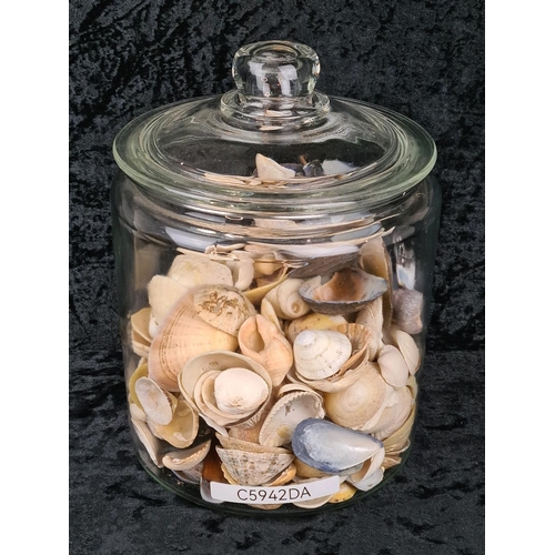 90 - Large glass lidded jar full of shells.