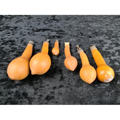342a - Collection of five traditional ethnic medicine (or cocaine!) gourd bottles with hand carved stoppers