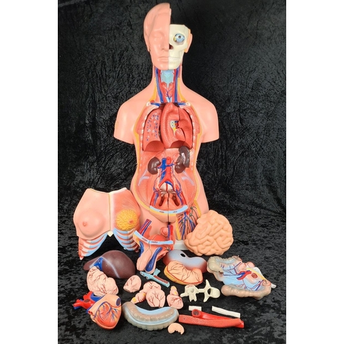 273 - Educational life size anatomical torso model with bits and pieces. Approx H85cm