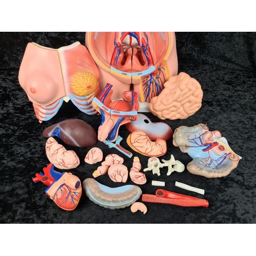 273 - Educational life size anatomical torso model with bits and pieces. Approx H85cm