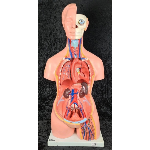 273 - Educational life size anatomical torso model with bits and pieces. Approx H85cm